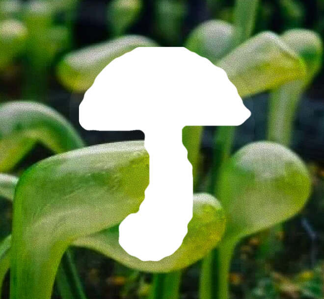 Mountains – outdoor nation